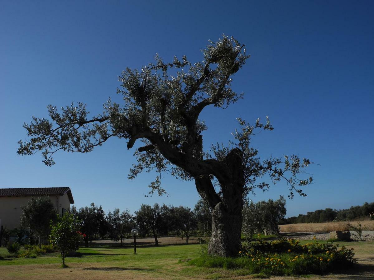 Agriturismo Is Solinas Masainas エクステリア 写真